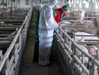 Agriculture